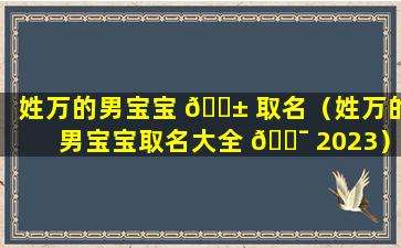 姓万的男宝宝 🐱 取名（姓万的男宝宝取名大全 🐯 2023）